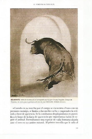 LAMINA COSSIO 50777: Dibujo de Martinez de Leon