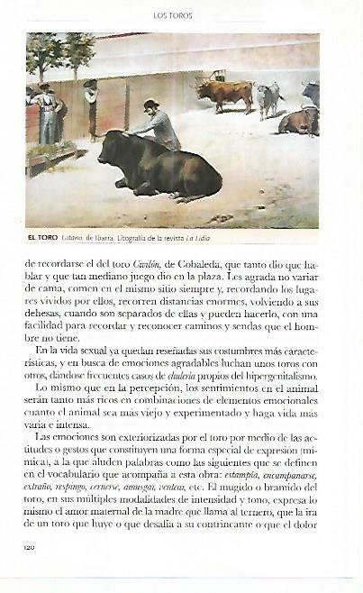 LAMINA COSSIO 50778: El toro Gitano de Ibarra