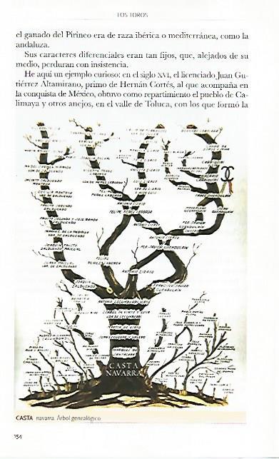 LAMINA COSSIO 50786: Arbol genealogico de la casta navarra