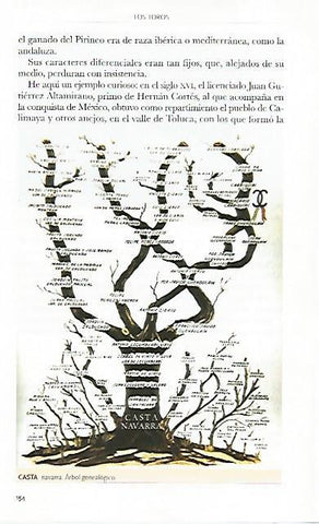 LAMINA COSSIO 50786: Arbol genealogico de la casta navarra
