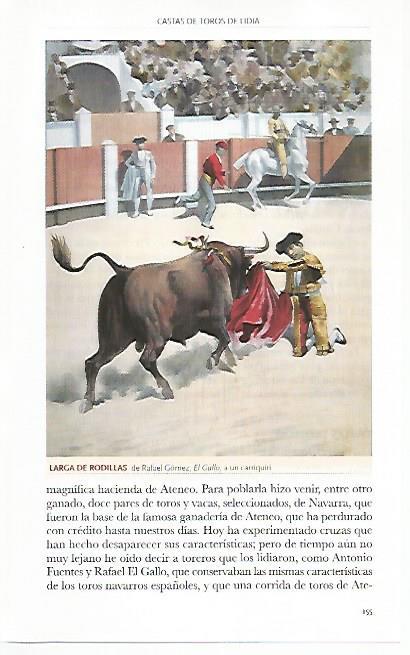 LAMINA COSSIO 50787: Larga de rodillas de El Gallo