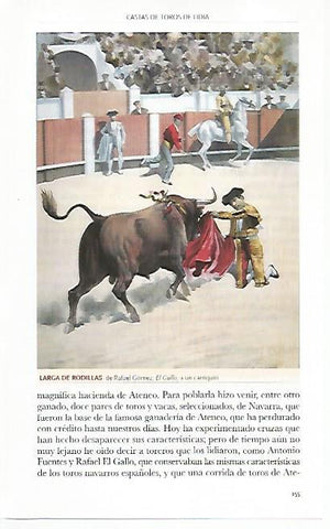 LAMINA COSSIO 50787: Larga de rodillas de El Gallo