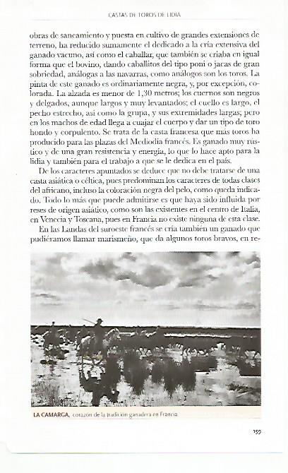 LAMINA COSSIO 50788: La Camarga en Francia
