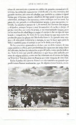 LAMINA COSSIO 50788: La Camarga en Francia