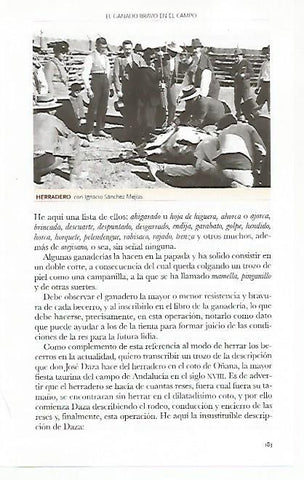 LAMINA COSSIO 50793: Herradero con Ignacio Sanchez Mejias