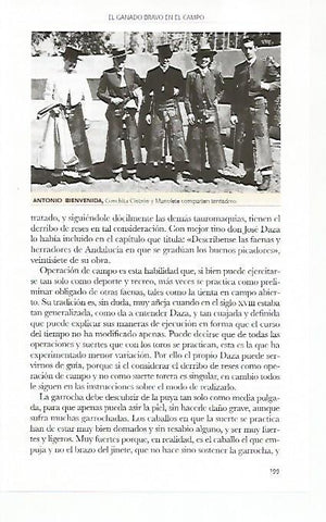 LAMINA COSSIO 50795: Antonio Bienvenida Conchita Cintron y Manolete