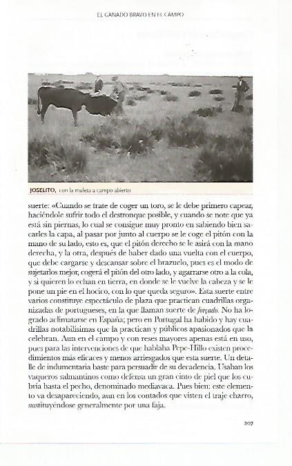 LAMINA COSSIO 50797: Joselito en campo abierto