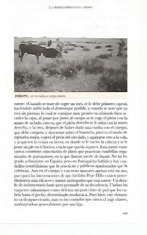 LAMINA COSSIO 50797: Joselito en campo abierto