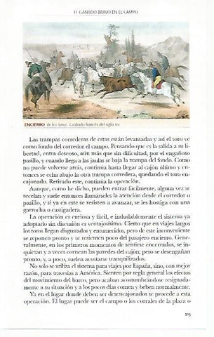 LAMINA COSSIO 50799: Encierro de los toros
