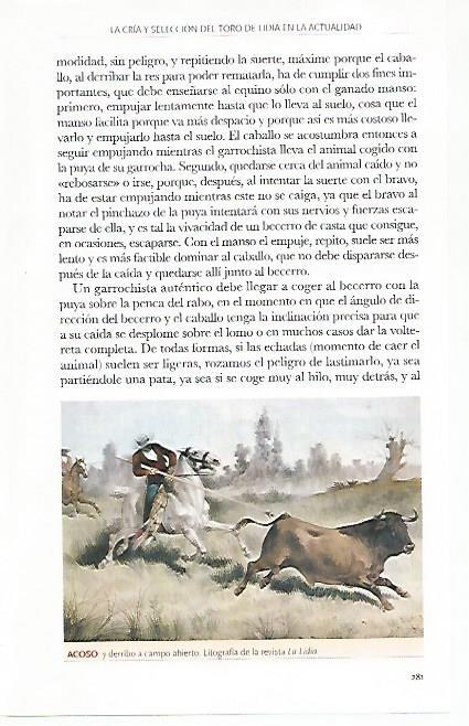 LAMINA COSSIO 50806: Acoso y derribo en el campo