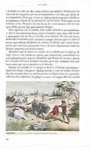 LAMINA COSSIO 50813: Percance en el acoso y derribo