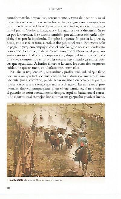 LAMINA COSSIO 50816: Encierro en la marisma