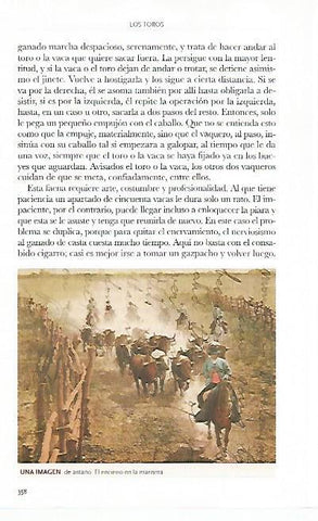 LAMINA COSSIO 50816: Encierro en la marisma
