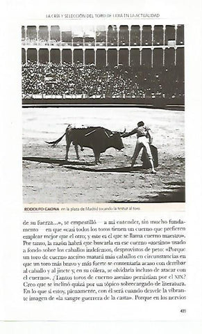 LAMINA COSSIO 50828: Rodolfo Gaona en Madrid