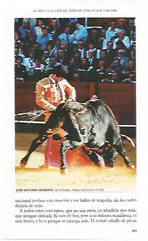 LAMINA COSSIO 50832: Morante de la Puebla en Sevilla