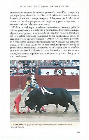 LAMINA COSSIO 50837: Sebastian Castella