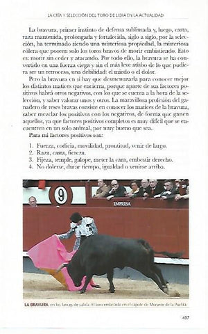 LAMINA COSSIO 50838: Morante de la Puebla