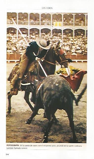 LAMINA COSSIO 50840: Fotografia de la suerte de varas