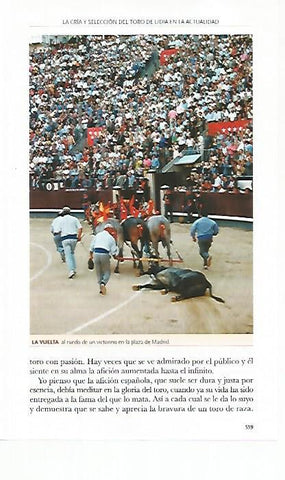 LAMINA COSSIO 50844: Vuelta de un victorino en Las Ventas