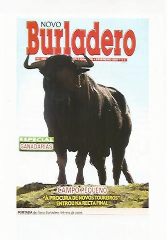 LAMINA COSSIO 50863: Portada de Novo Burladera de 2007