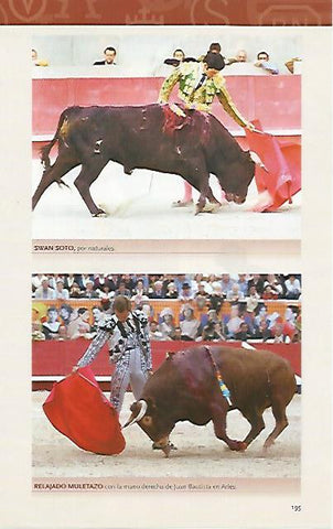 LAMINA COSSIO 50891: Swan Soto y Juan Bautista