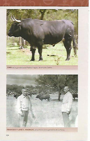 LAMINA COSSIO 50906: Toro de Piedras Negras y los ganaderos de La Punta