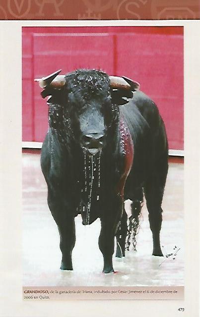 LAMINA COSSIO 50977: Grandioso indultado por Cesar Rincon