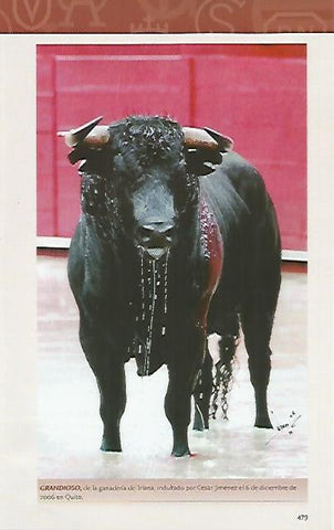 LAMINA COSSIO 50977: Grandioso indultado por Cesar Rincon