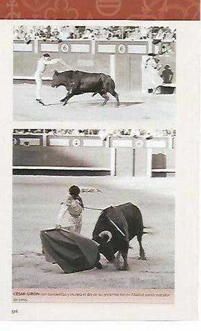 LAMINA COSSIO 50987: Cesar Giron con banderillas
