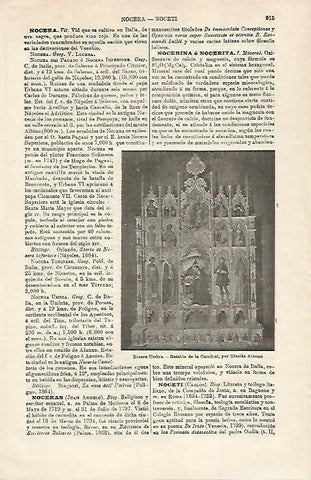 LAMINA ESPASA 20207: Retablo de la Catedral de Nocera Umbra