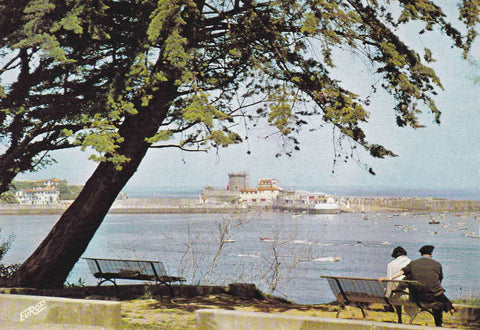 POSTAL 18536: La Cote Basque