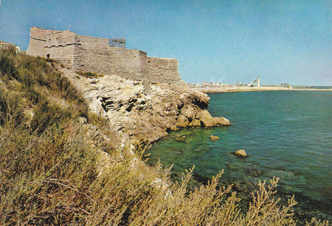 POSTAL 18539: Le Theatre de la Mer Sete