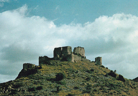 POSTAL 18541: Chateau d Arguilar dans les Corbieres