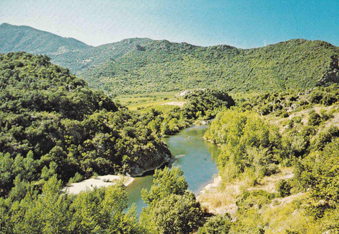 POSTAL 18544: Herault Touristique Valee de l Orb