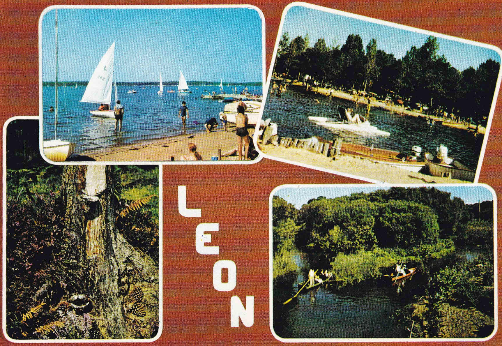 POSTAL 18555: Leon Landes