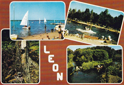 POSTAL 18555: Leon Landes