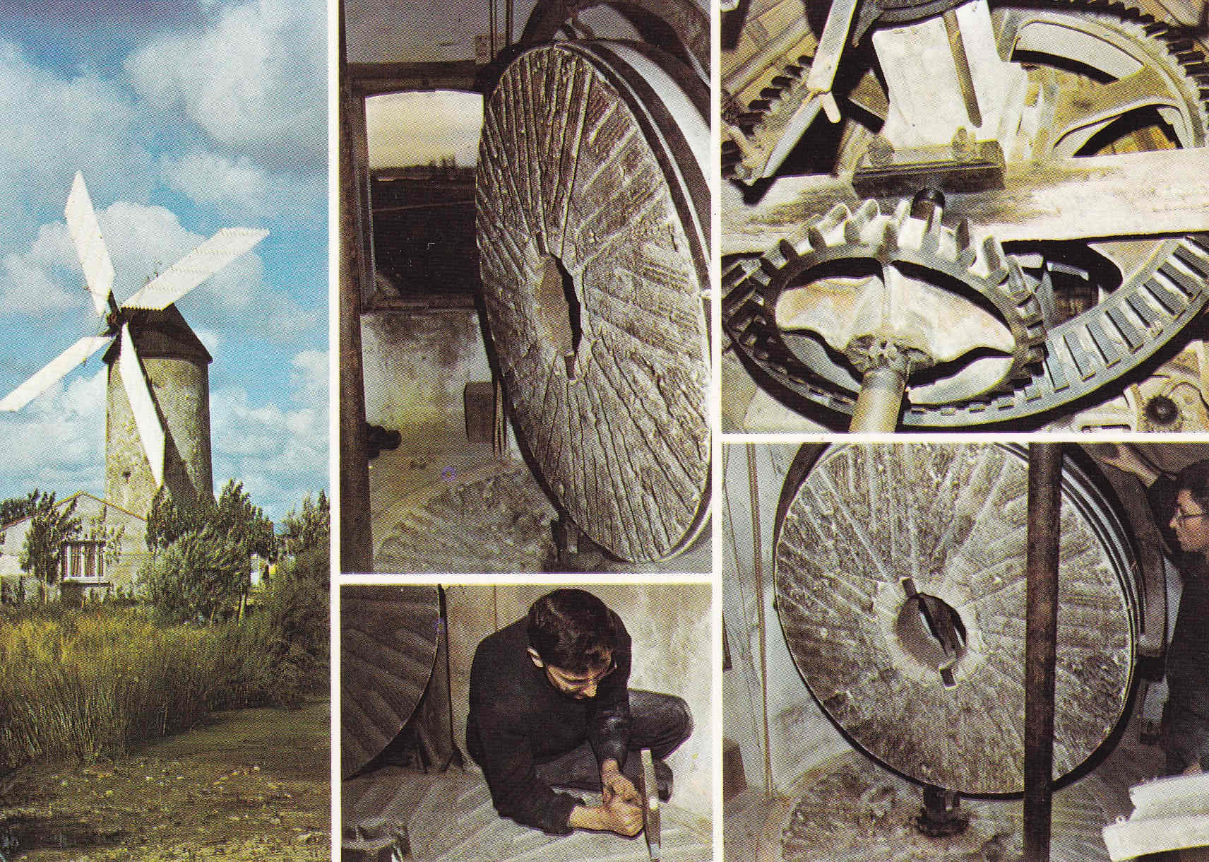 POSTAL 18560: Moulin de Raire Sallertaine