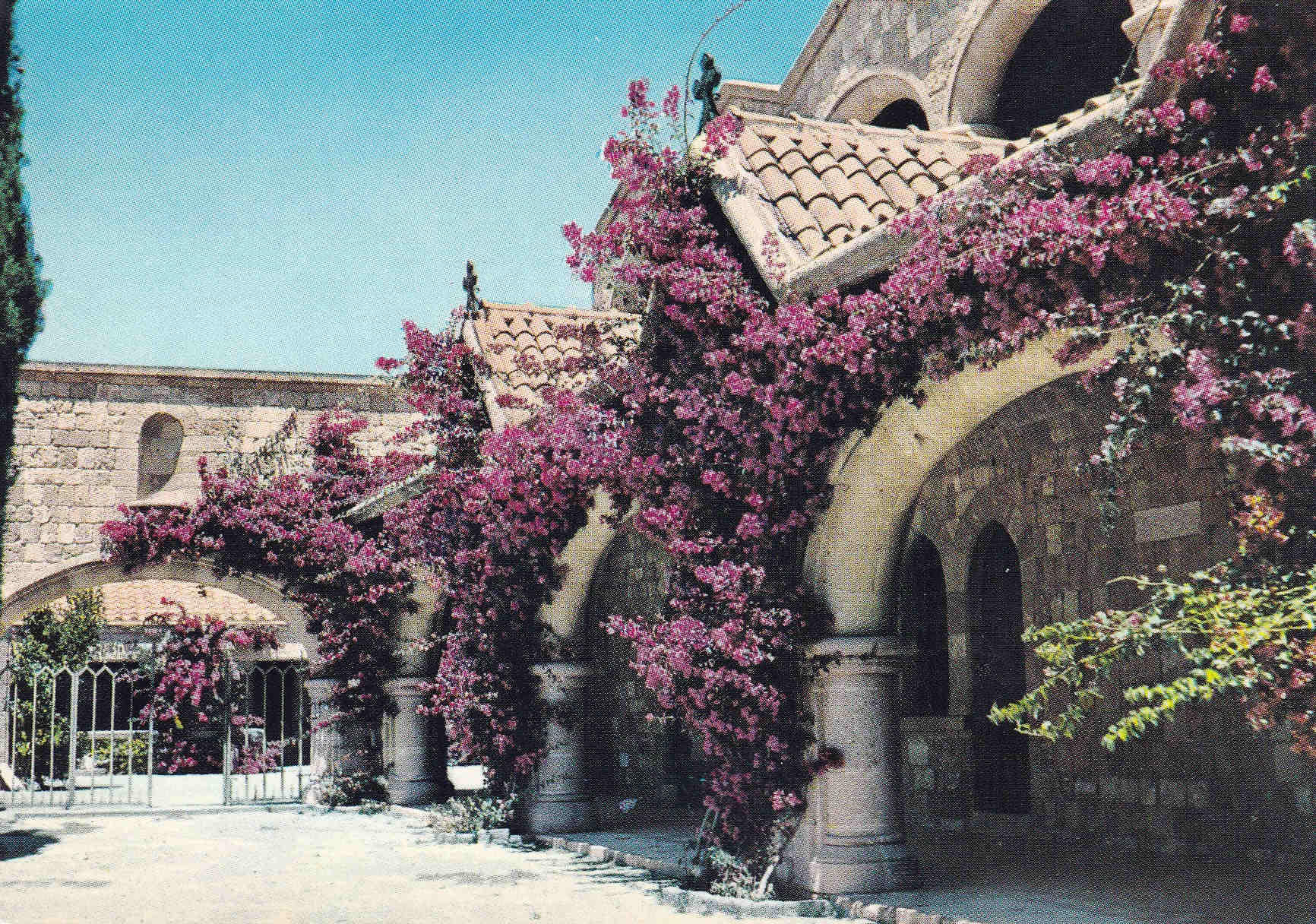 POSTAL 18563: Rodhes - Phileremos