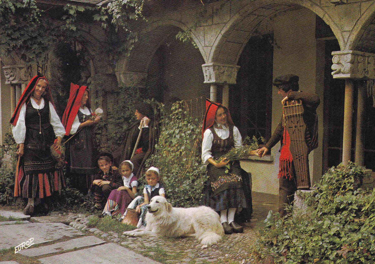 POSTAL 18568: Le Haut Pays de Bigorre