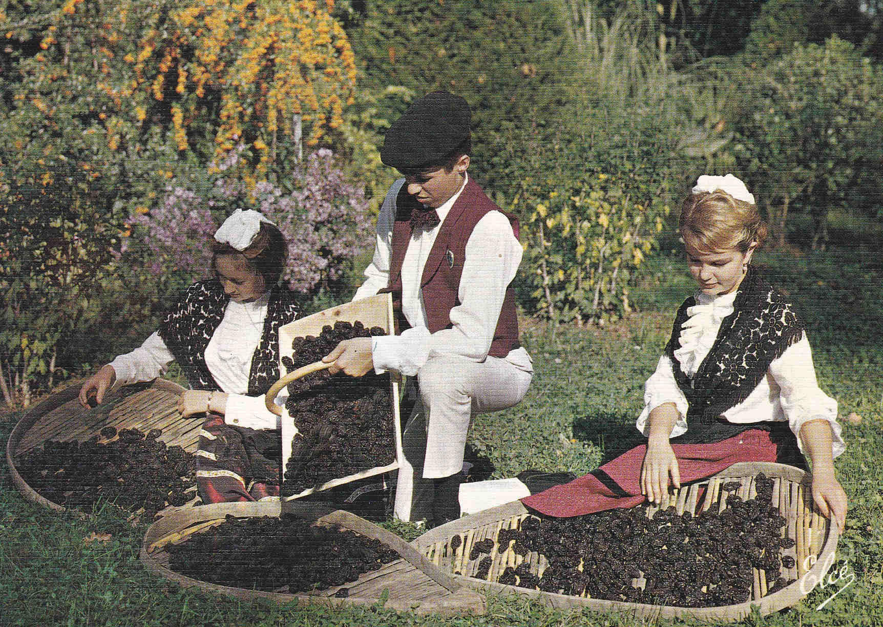POSTAL 18570: Folklore Lou Foular de Bilonebo