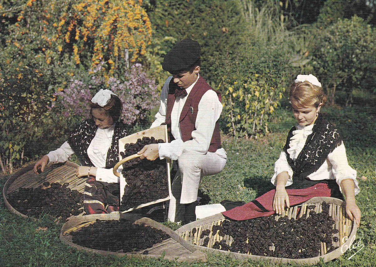 POSTAL 18570: Folklore Lou Foular de Bilonebo