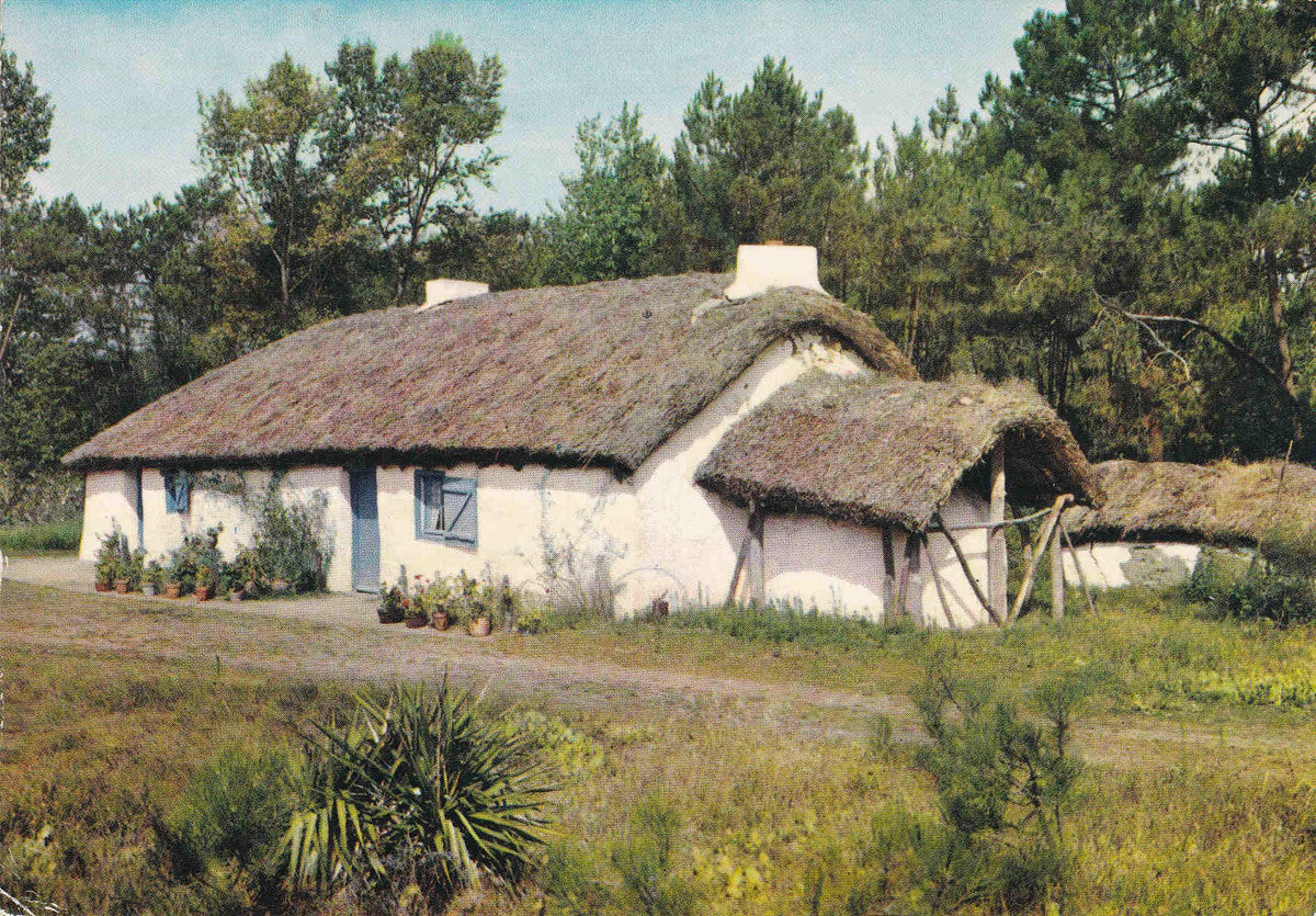 POSTAL 18595: Bourrine vendeennePays de Monts