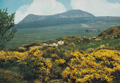 POSTAL 18662: Chainne des Cevennes Le Mont Mezenc