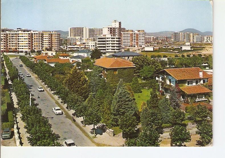 Postal 022534 : Laredo, Avenida dela Victoria