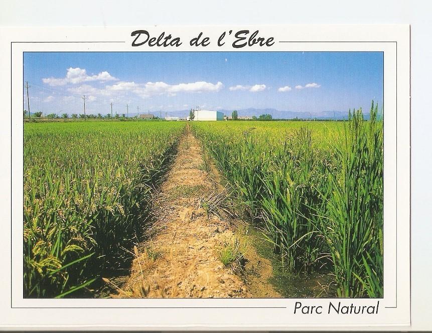 Postal 040730 : Delta de lEbre. Parc Natural