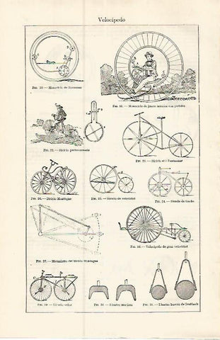 LAMINA ESPASA 17426: Tipos de velocipedos