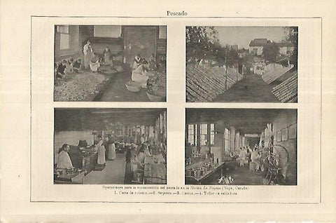 LAMINA ESPASA 18107: Fabrica La Noyesa en La Coruña