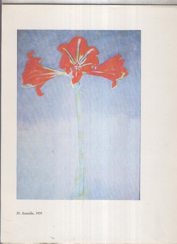 Piet Mondrian: lamina 02: Amarilis 1909
