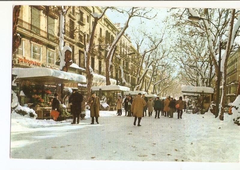Postal 025647 : Rambla de las Flores (Navidad 1962). Barcelona