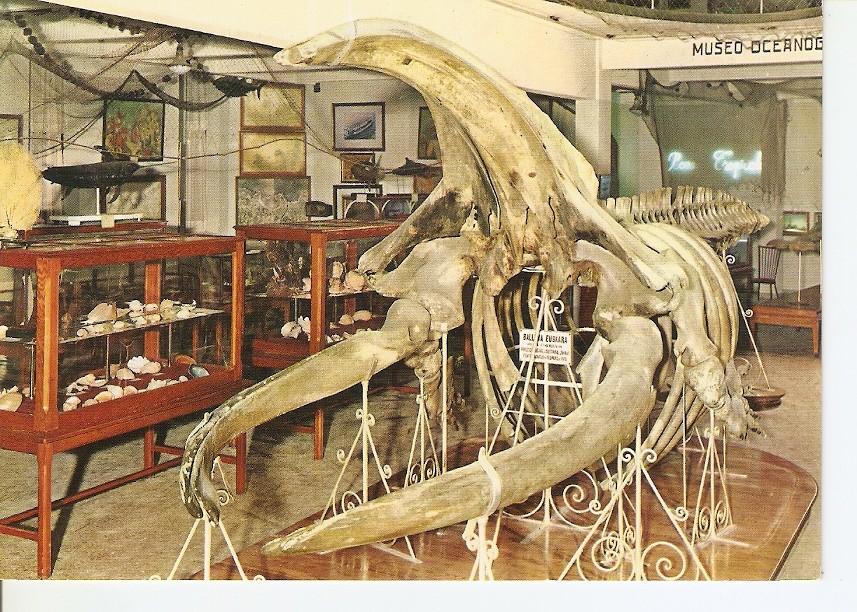 Postal 033714 : Aquarium de San Sebastian. Vista parcial del Museo Oceanografico